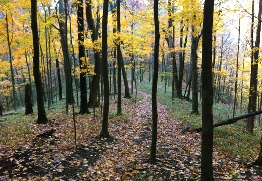 Sheltowee Trace, Clear Creek Furnace - 08